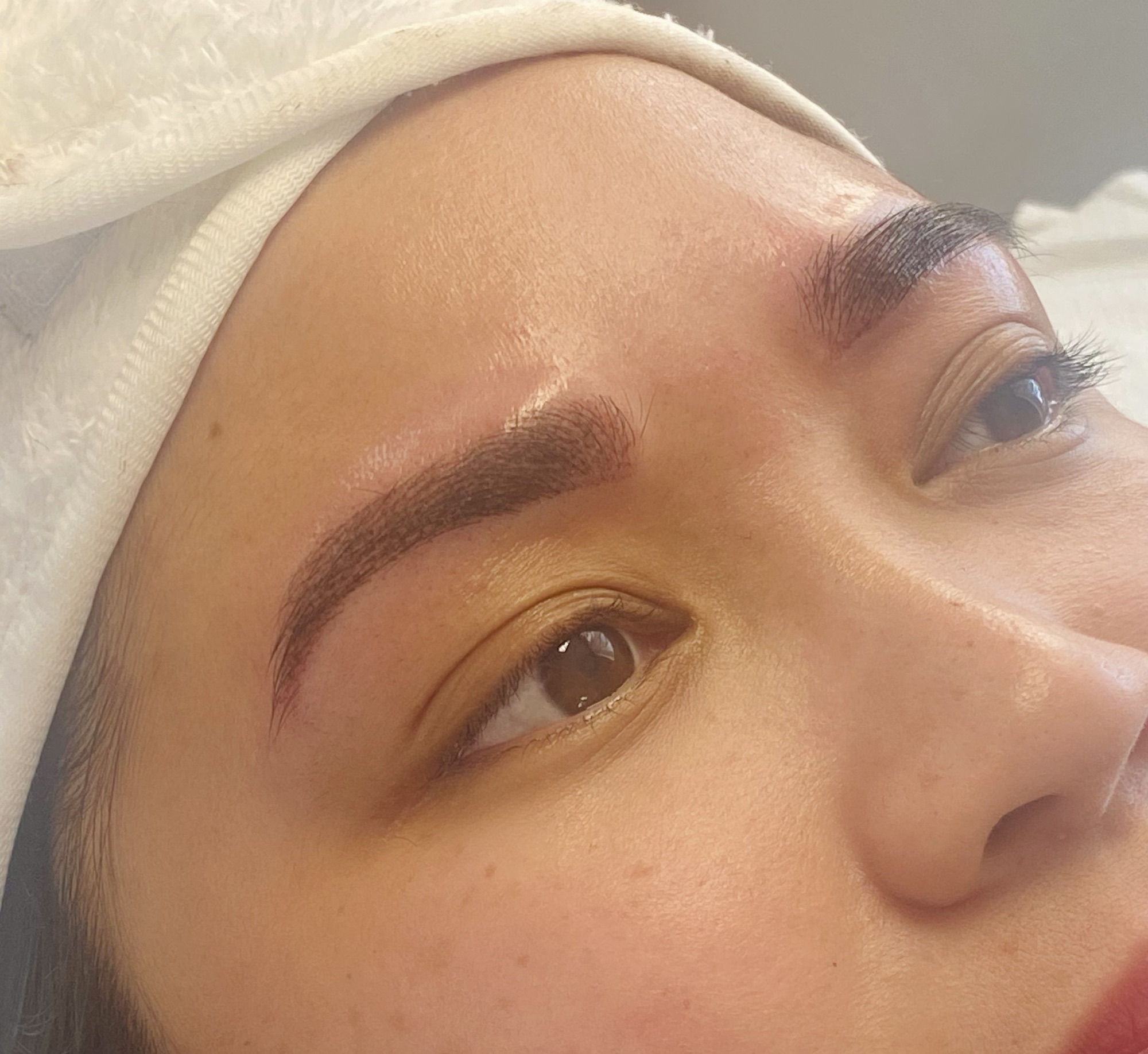 Formation Microshading Maquillage Semi - Permanent Effet poudrée